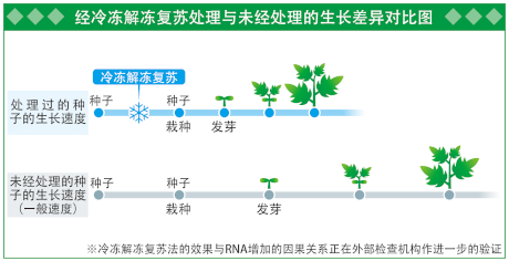 （提供：D＆T农场）