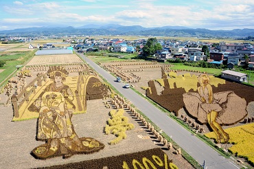 Los campos tras cosechar el arroz (Cortesía del Consejo para la Promoción y Revitalización de la villa de Inakadate)