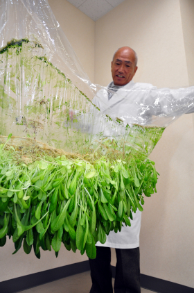 Le fondateur, M. Yuichi Mori, tient une feuille de « film IMEC » sur laquelle se propagent les racines des plantes (avec l’autorisation de Mebiol)