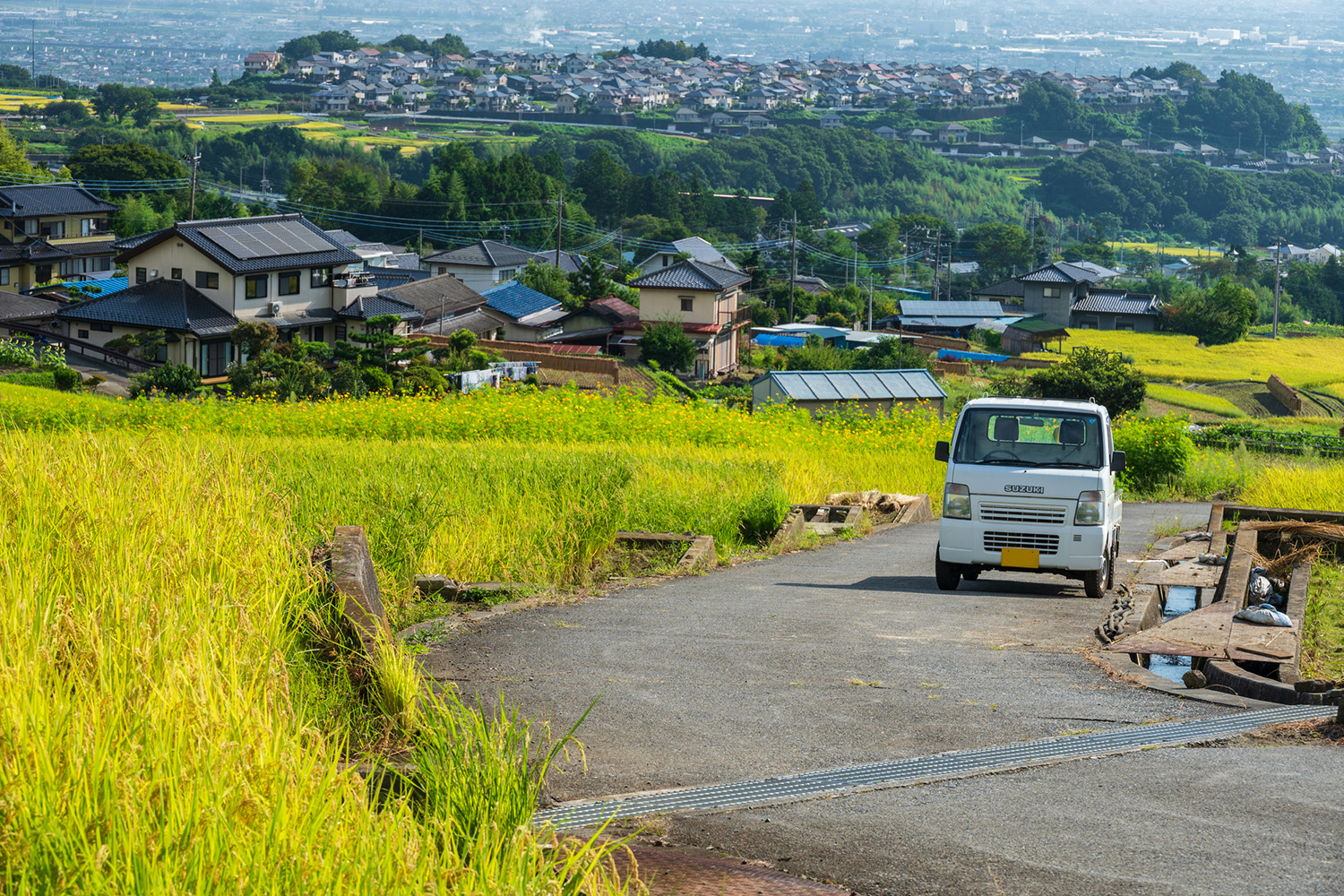 Tiny Titans: Japan’s Compact Kei Cars