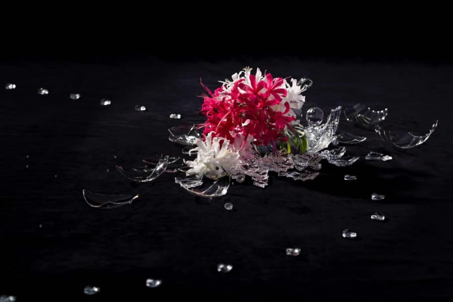 A modern ikebana flower arrangement of nerines. Arranged in a shattered glass vase, it emphasizes the vitality of the flowers and expresses the brilliance of a living organism that cannot be contained. (Photo by munehide IDA, courtesy of maki AKAGI)