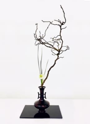 Ikebana is a process of subtraction. Ikebana artists use flowers and branches to create a composition of forms and lines where the negative space is just as important as the positive space. (Photos courtesy of maki AKAGI)