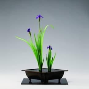 Shoka arrangements have a triangular composition made up of three main components. According to some schools of thought, the tallest component represents heaven, the middle component represents mankind, and the lowest component represents earth. (©Ikenobo Headquarters)