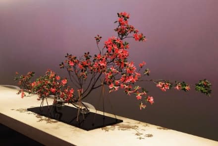 A Jiyuuka arrangement using azaleas. Inspired by large trees that live for over a thousand years, the artist chose to use a system of stilts instead of a traditional vase in order to emphasize the form of the “tree.” With Jiyuuka, the artist is free to explore different forms, themes, and materials. (Photo courtesy of maki AKAGI)