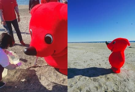 CHI-BA+KUN is an active member of his community, joining events and spreading the word about the charms of his prefecture. Here he participates in a local seaside trash cleanup event with community members. When he does his signature left-facing pose, you can make out his Chiba Prefecture shape. (Provided by Chiba Prefecture)