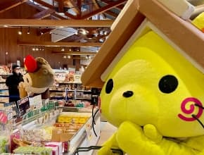 Shimane Prefecture’s cat mascot Shimanekko is very busy on social media. Users can follow them as they travel around the prefecture, visiting local businesses, museums, temples, and more. (Photo courtesy of Shimane Tourism Mascot “shimanekko” license agreement SHIMAKANREN No.8595)