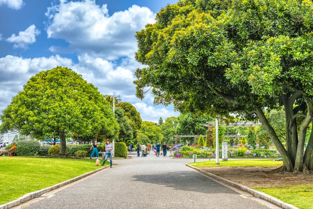 横滨绿地遍布，适宜步行。