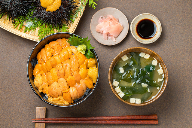 Les oursins et les algues, notamment le varech, sont des éléments essentiels de la cuisine japonaise. Le varech (<i>kombu</i>), en particulier, est utilisé pour préparer le dashi, un bouillon qui sert de base à de nombreux plats, dont la soupe miso.