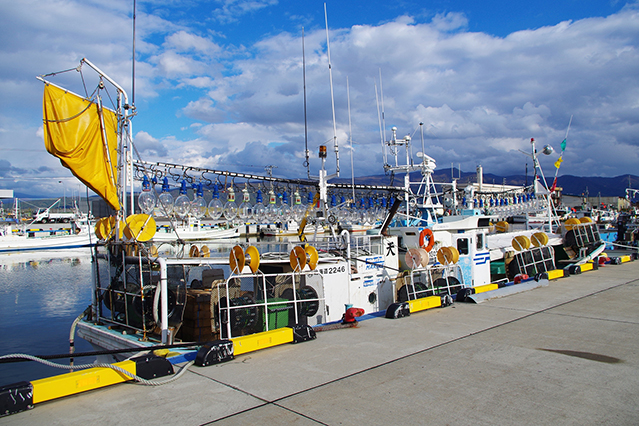 Le retour des poissons grâce à la régénération des herbiers marins est essentiel pour la pérennité de l’industrie de la pêche à Suttsu.