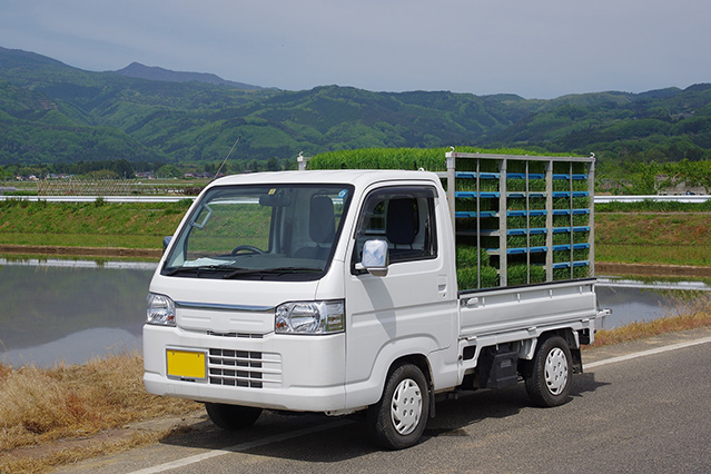 Despite their smaller size, kei trucks can carry a surprising volume of cargo and are a popular farming vehicle.