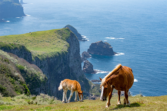 The remote Oki Islands are famed for their idyllic scenery.
