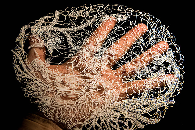 Detailed kirie artworks use paper cutouts to create intricate depictions of animals, plants, insects, landscapes and more; the possibilities are endless.