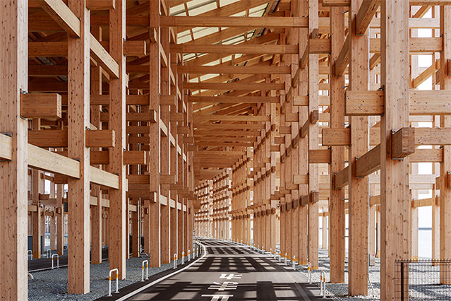 Some of the wood from the Grand Ring is set to be reused at GREEN×EXPO 2027. (Photo courtesy of Hiromitsu Morimoto)