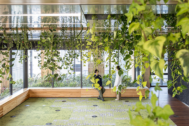 Wood-finished interior with hanging greenery and built-in seating, where people converse in a naturally lit, plant-filled space