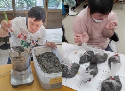 海藻在被用于饲料制造前会经过手工干燥和粉碎工序。这一环节也为残障人士和老年人提供了就业机会。（图片由Rainbow Children Laboratory提供）