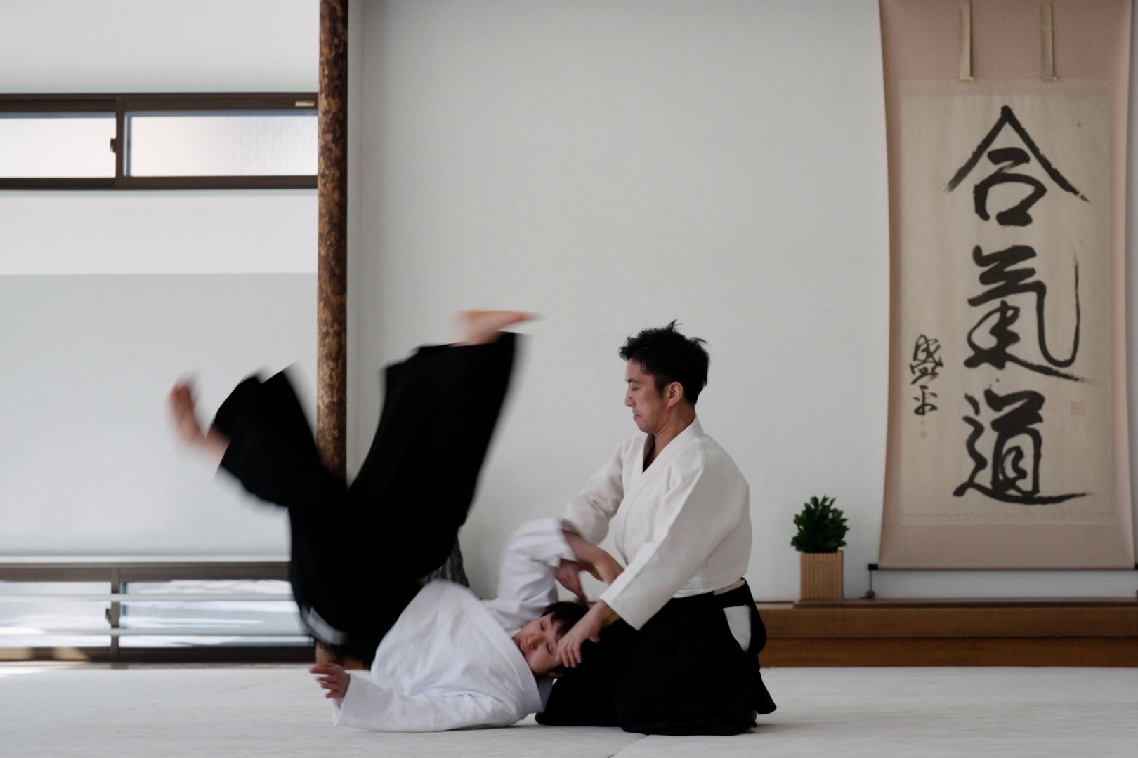 Images of Japan - Dynamism